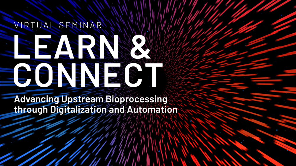 Learn and Connect -virtual - small