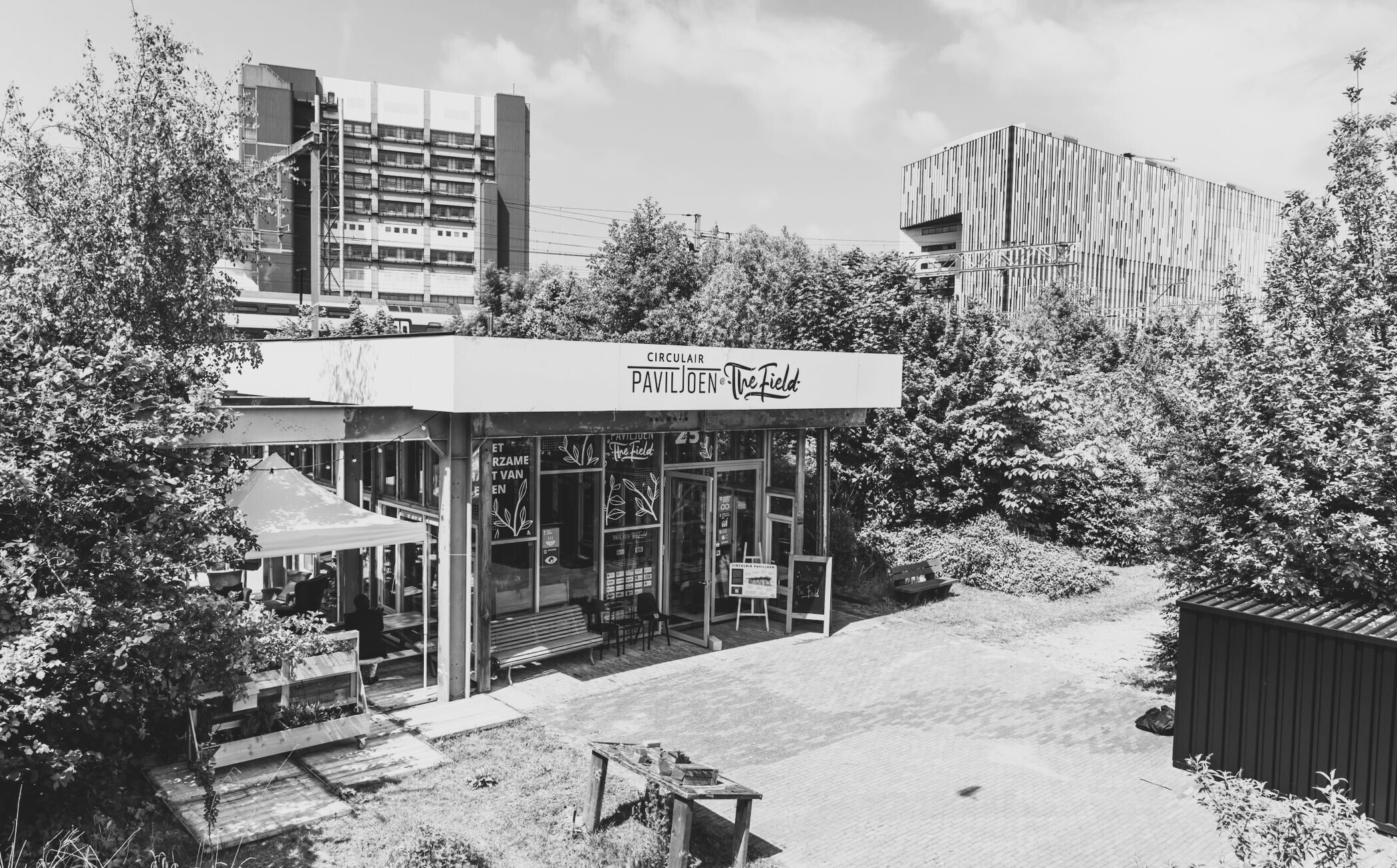 PLNT the-field-leiden-bw